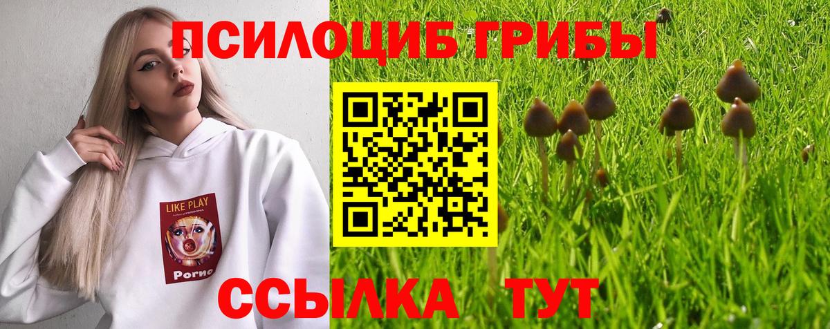 Псилоцибиновые грибы GOLDEN TEACHER Изобильный
